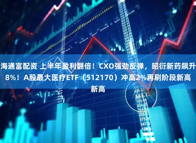 海通富配资 上半年盈利翻倍！CXO强劲反弹，昭衍新药飙升8%！A股最大医疗ETF（512170）冲高2%再刷阶段新高